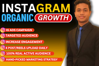 do super fast organic instagram growth with real engagement
