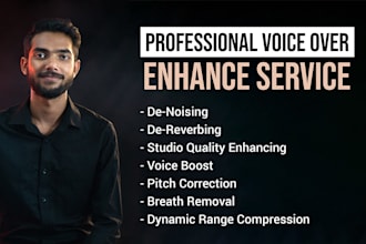enhance your voice, denoise, dereverb, studio quality fast