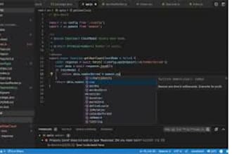 write and debug scripts in html, css, javascript and jquery