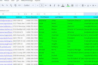 do customer contact email list and b2b lead generation