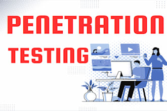 perform professional penetration testing for your website