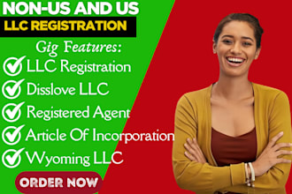 do US llc registration, ein number, boi report and dissolve llc, sale tax permit