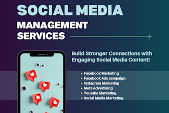 set up and manage facebook, instragram and youtube accounts