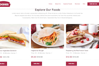 redesign, rebuild duplicate or copy clone your wordpress website