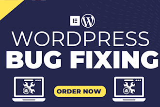fix wordpress issues, elementor pro bugs, and provide a fast wordpress fix