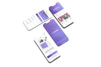 ui UX of your mobile app using flutterflow or convert design to flutterflow