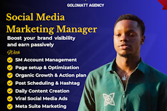 be your social media marketing manager tik tok ads instagram ads content creator