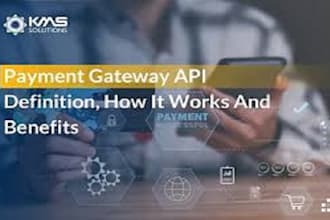 setup high risk payment gateway merchant account paypal api integrations