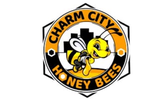 unique eye catching honey bee logo