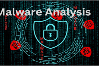 perform malware analysis, forensics, and reverse engineering