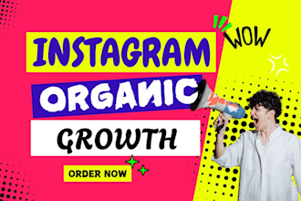 do organic instagram marketing to get niche related followers and engagement