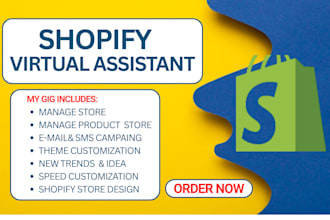 build shopify stores ecommerce shopify virtual assistant dropshipping website