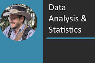 perform basic statistical data analysis with r or excel
