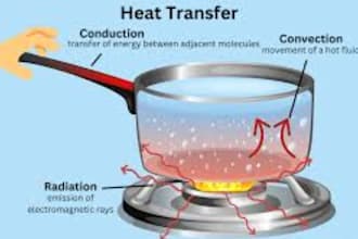 create dtf heat transfer vinyl designs 300 dpi for clothes assigmnt
