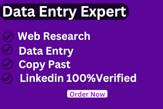 do data entry copy paste web research data mining
