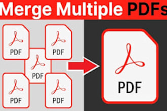 combine, split, or merge PDF files into a single document professionally