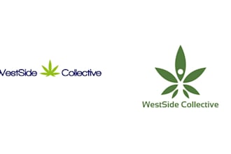 create a minimalist cbd medical logo design