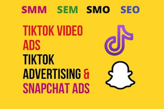 setup and manage tiktok video ads, shopify videos ads, snapchat ads
