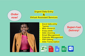 be your urgent virtual assistant for excel data entry, web research, copy paste
