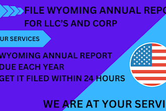 file wyoming llc annual report for llc,c corp, s corp, itin, boi, dba permits