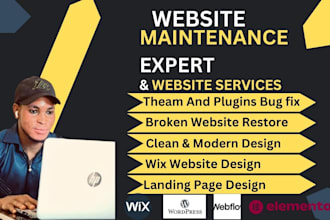 design website on elementor, wix, divi, oxygen, squarespace, looka, duda, jimdo