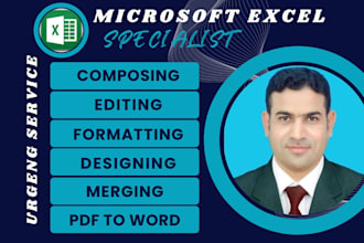 create, cleanup, format, organize and manage your excel data sheet professional