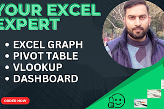 create excel graphs, pivot tables, vlookup and dashboard