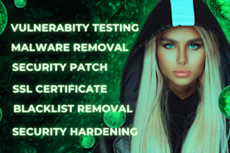 do expert wordpress security and wordpress malware removal