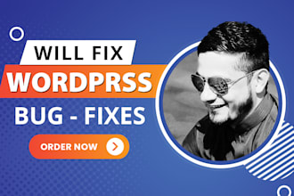 fix wordpress issues on your website