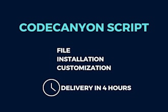 install, fix or customize any codecanyon PHP script and apps