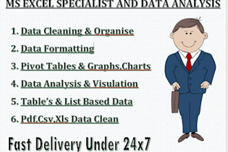 excel data cleaning, data formatting, pivot tables, charts