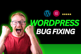 fix wordpress any kind of errors, issues, bugs or do customization