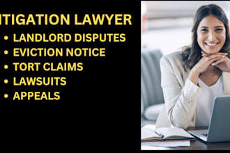 be your litigation lawyer and help you draft claims, motions, lawsuits, poa