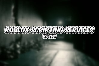 be a professional roblox scripter for your game
