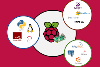 program your raspberry pi for your needs