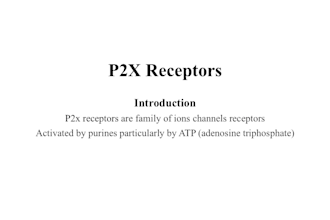 assist you in reaction scheme designing