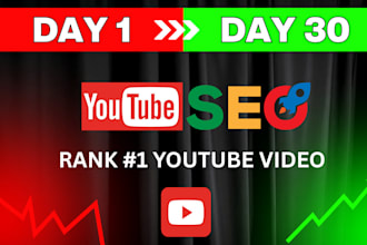 be your youtube video SEO expert and channel growth manager