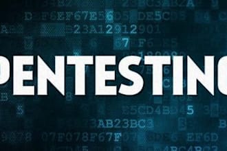 perform penetration testing for websites, apis, and networks