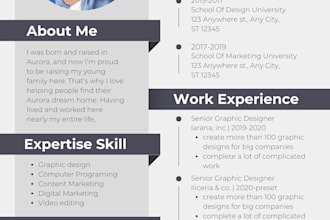 design a professional resume, cover letter, and portfolio