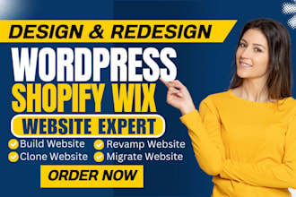 clone, build wordpress website design, elementor, astra, divi, brizy wp design