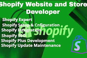 seo friendly ecommerce website, shopify website developer, wix, wordpress, debug
