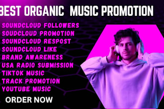 do organic soundcloud music promotion through repost, soundcloud followers
