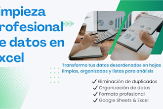limpiaré, organizaré tus datos en excel o google sheets