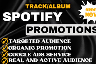 run ads to promote your spotify album spotify music track promotion campaign