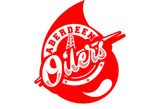 design ice hockey franchise logo