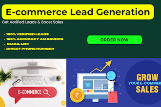provide shopify ecommerce leads with minimalist price