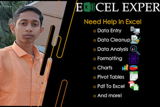 excel data entry, clean, format, merge