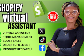do shopify virtual assistant boost shopify sales, shopify marketing, store audit