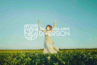 craft custom logo design and brand identity for you
