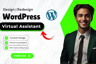 be your wordpress virtual assistant, maintenance issue